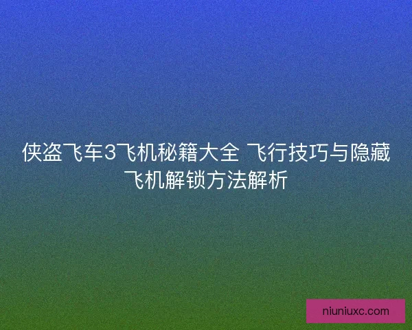 侠盗飞车3飞机秘籍大全 飞行技巧与隐藏飞机解锁方法解析